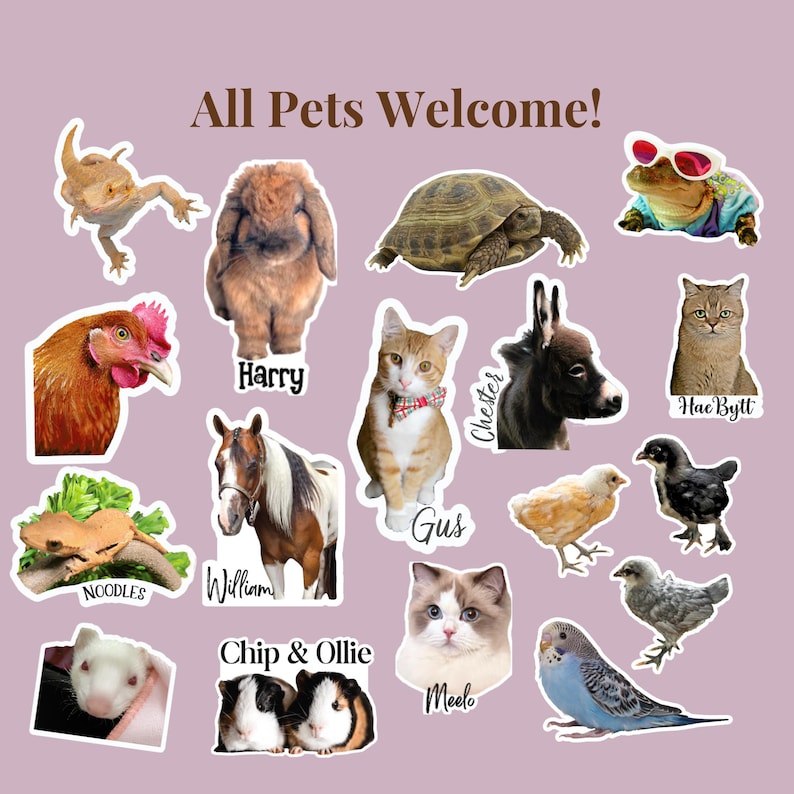 A playful “All Pets Welcome!” collage featuring a variety of animals—cats, dogs, rabbits, reptiles, birds, and small pets—each labeled with their names. The graphic highlights that custom pet photo stickers can be made for any species, not just cats and dogs. Ideal for showcasing inclusivity in personalized pet stickers and multi‑pet orders.