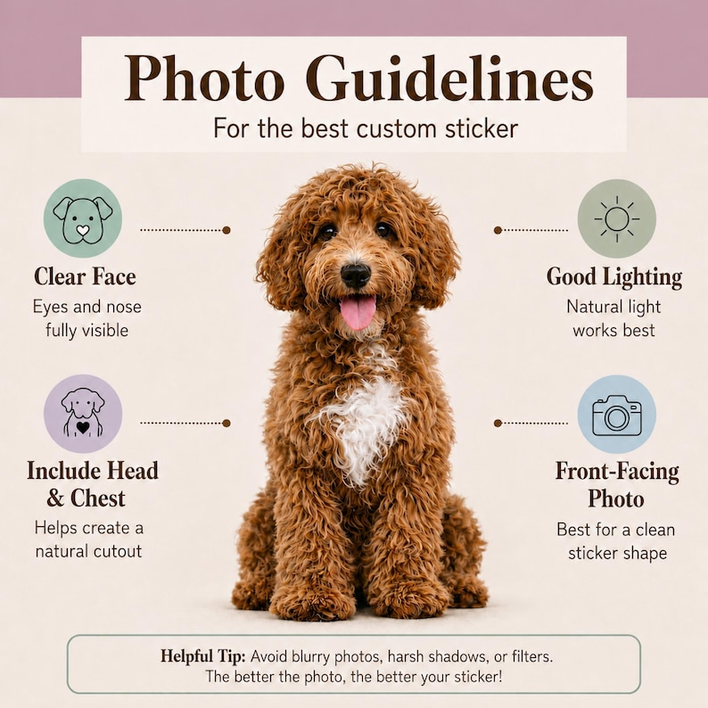 Photo tips for creating the best custom dog sticker, featuring a brown curly‑haired dog with icons showing clear face, head and chest included, good lighting, and front‑facing pose. Encourages high‑quality pet photos for personalized decals