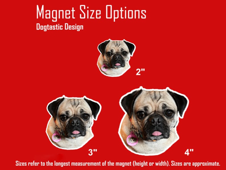 Custom Dog Refrigerator Dog Photo Custom Pet Etsy