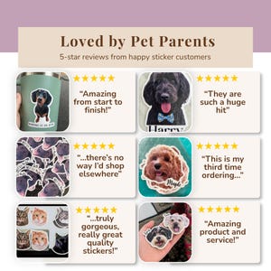 Collage of six 5‑star customer reviews for custom pet stickers, each showing a dog or cat sticker with short testimonials. Beige banner reads “Loved by Pet Parents,” highlighting quality, repeat buyers, and happy customers.