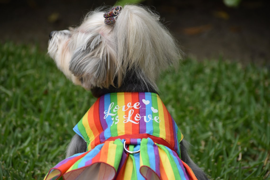 Pride Rainbow Dog Dress Harness Etsy