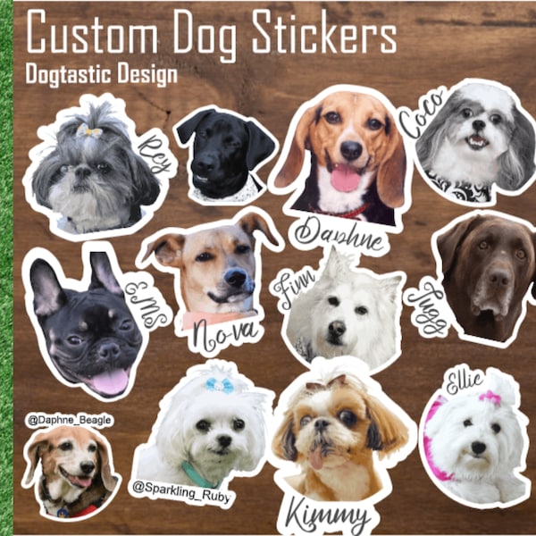 Dog Stickers, Dog Photo Stickers Custom, Personalized Pet Stickers, Custom Waterproof Photo Sticker, Water Bottle Stickers, Great for Gifts