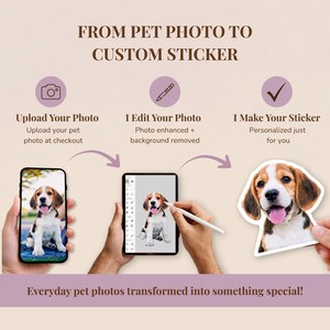 A three‑step graphic showing how a pet photo becomes a custom dog sticker: a beagle photo uploaded on a phone, the image being edited on a tablet, and a hand holding the finished waterproof vinyl pet decal. Warm, friendly design for personalized dog stickers.