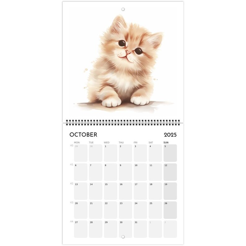 Cute Kitten 2025 Calendar Cat Lover Gift Christmas Birthday Gift Cute