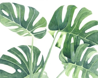 Monstera watercolor painting delicate wall art realistic watercolor painting plant wall art