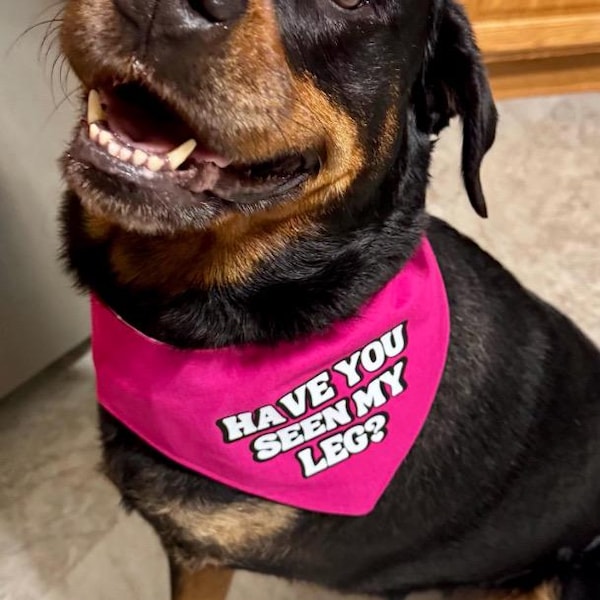 Funny Tripod Dog Bandana – "Have You Seen My Leg?" | Amputee Dog Gift | Pet Accessory for 3-Legged Dogs