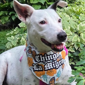 Chinga la migra - Pet bandana | gifts for pets | Anti trump bandana | political pets | protest dog bandana