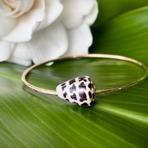 May include: A gold bangle bracelet with a brown and white seashell charm. The bracelet is on a green leaf.