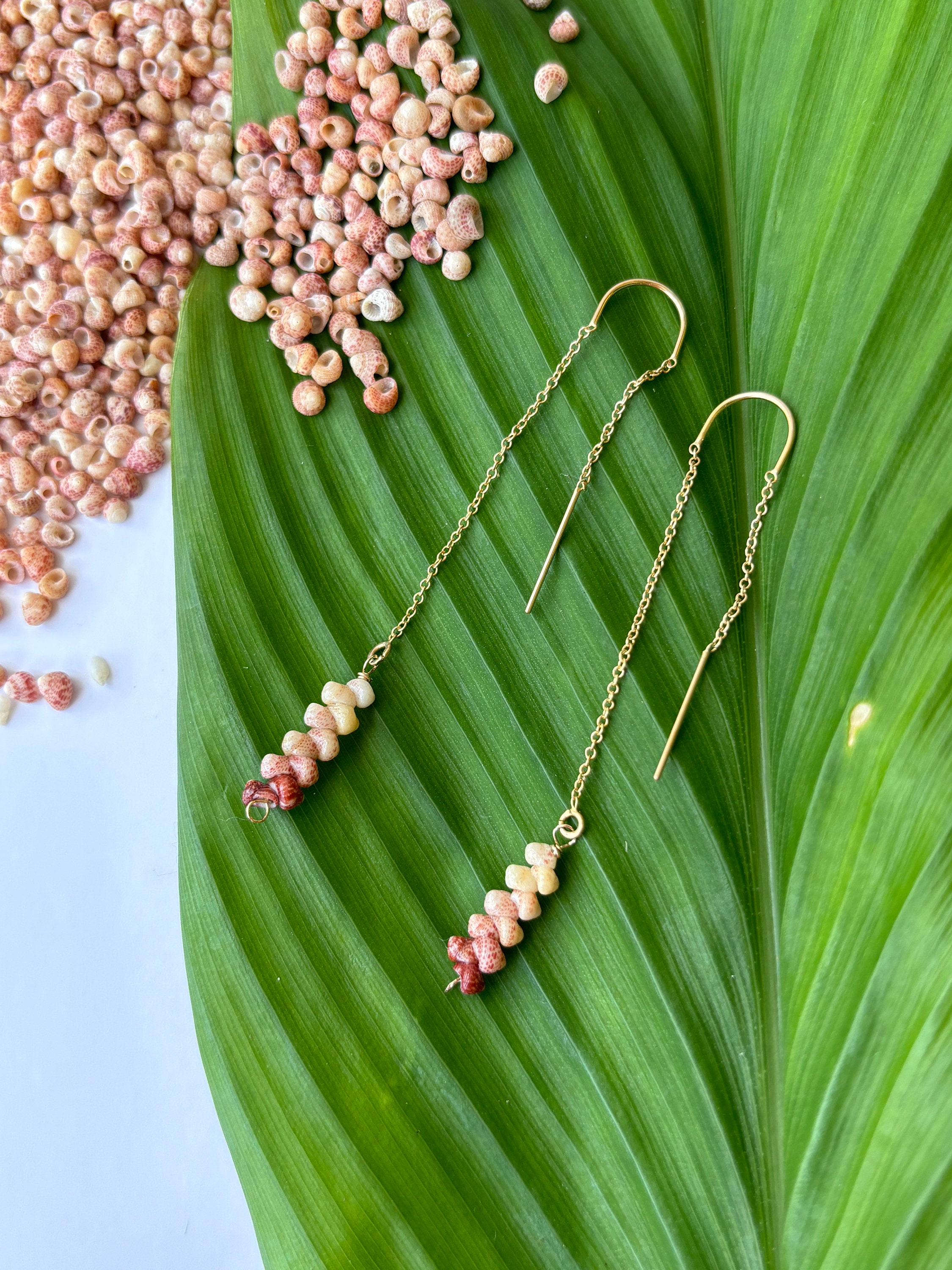 Kahelelani shells - Etsy 日本