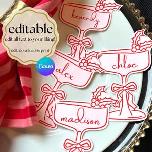 Peut inclure: Cartes de table modifiables roses et blanches en forme de verres à cocktail, chacune avec un nom écrit en cursive. Les cartes sont décorées de nœuds et de houx. Les mots "editable", "edit all text to your liking!", "edit, download & print", et "Canva" sont également visibles.