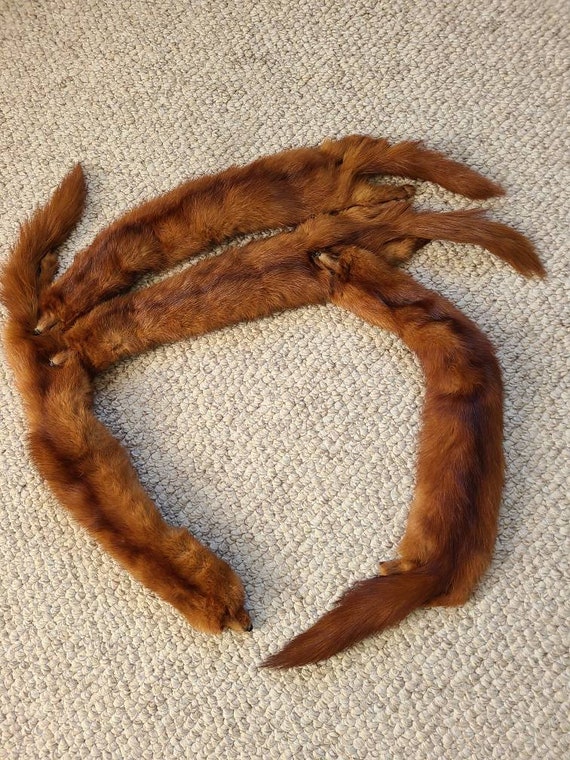 Vintage mink stole, fur wrap, head, tail and feet… - image 5