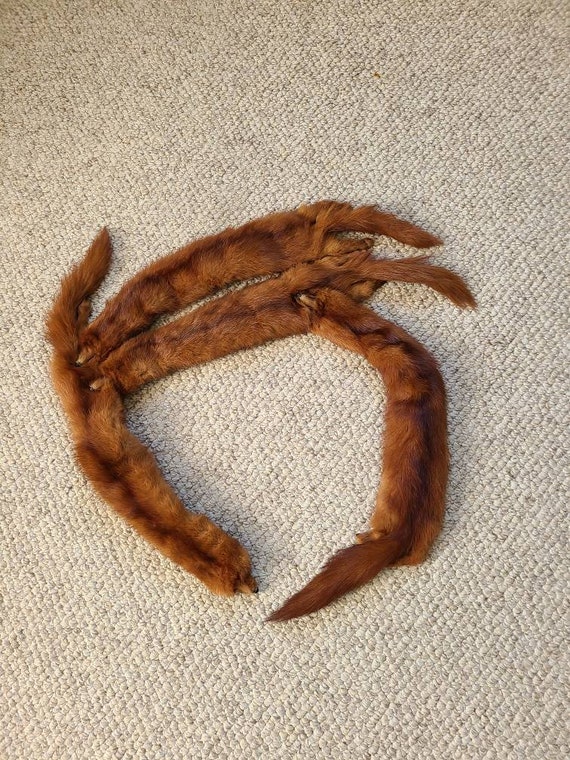 Vintage mink stole, fur wrap, head, tail and feet… - image 9