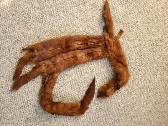 Vintage mink stole, fur wrap, head, tail and feet… - image 6