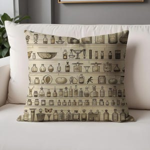 Steampunk Apothecary Pillow Cover – Victorian Potion Bottles Cushion – Witchy Gothic Decor – Mysterious Alchemy Design