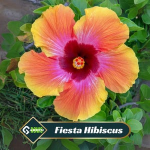 May include: A white ceramic mug with a black handle and the text "But First, Coffee" in a bold, black font. The mug is set against a blurred background, suggesting a cozy setting.