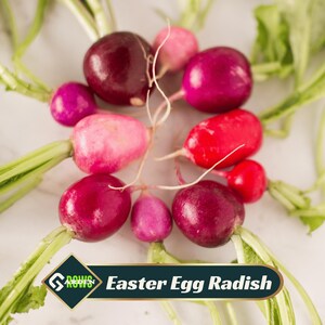 May include: A set of three ceramic mugs with a speckled, matte finish. The mugs are in shades of cream, light gray, and dark gray. Each mug has a simple, minimalist design, perfect for coffee or tea.