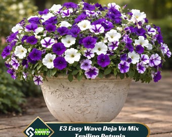 E3 Easy Wave Deja Vu Mix Trailing Petunia Seeds - Multicolor Cascading Flowers - Spreading Wave Petunia - Hanging Basket Garden Plant