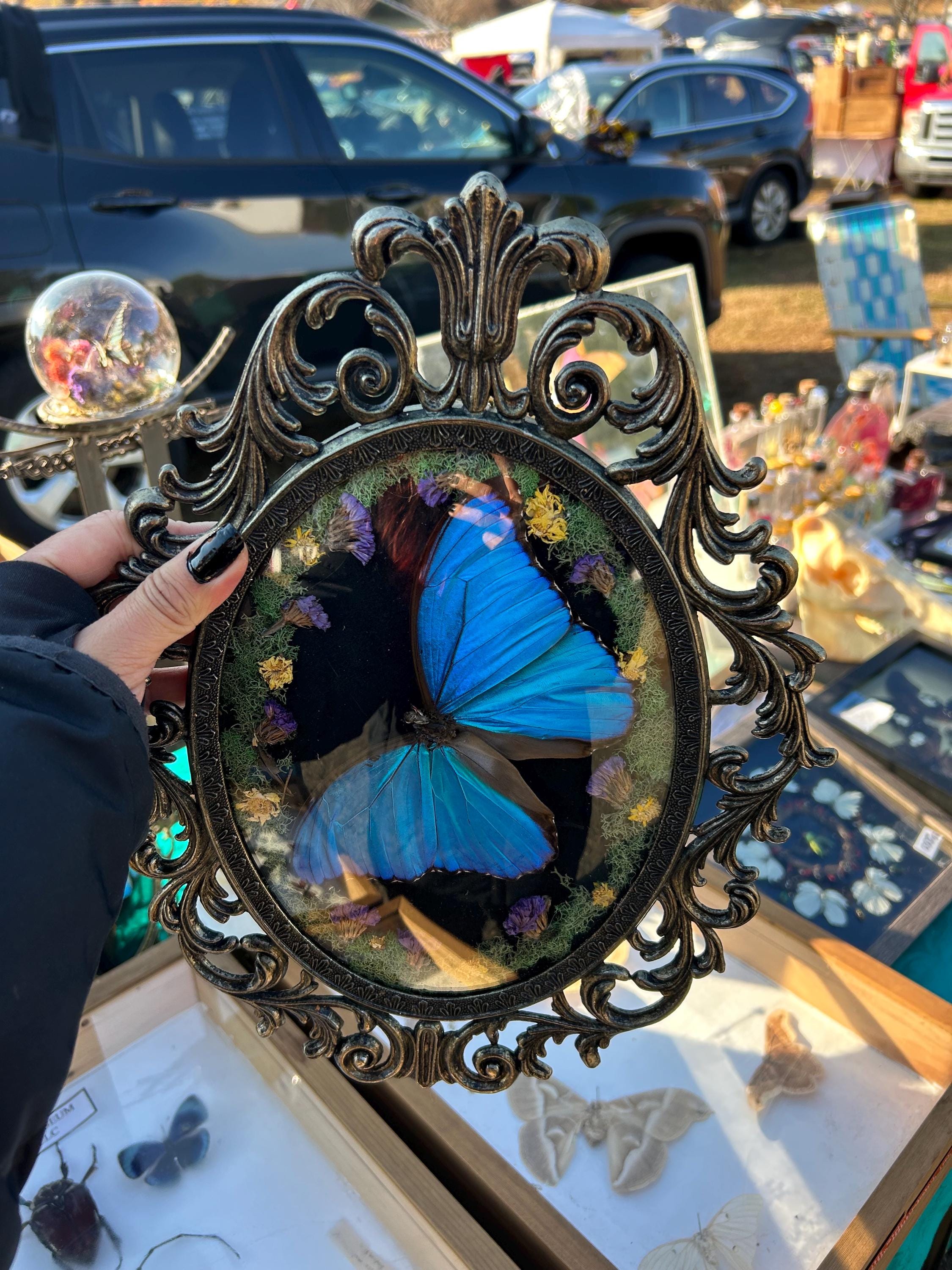 Butterfly Frame Bubble Frame - Etsy