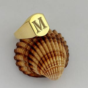 May include: A gold signet ring with the letter "M" engraved on the face. The ring is displayed on a brown and tan seashell against a white background. The ring has a polished finish.