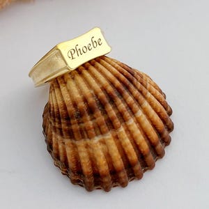 Pode incluir: Um anel dourado com o nome "Phoebe" gravado numa placa retangular. O anel é exibido numa concha marrom e bege, com grama ornamental seca no fundo. O anel é um estilo de sinete.