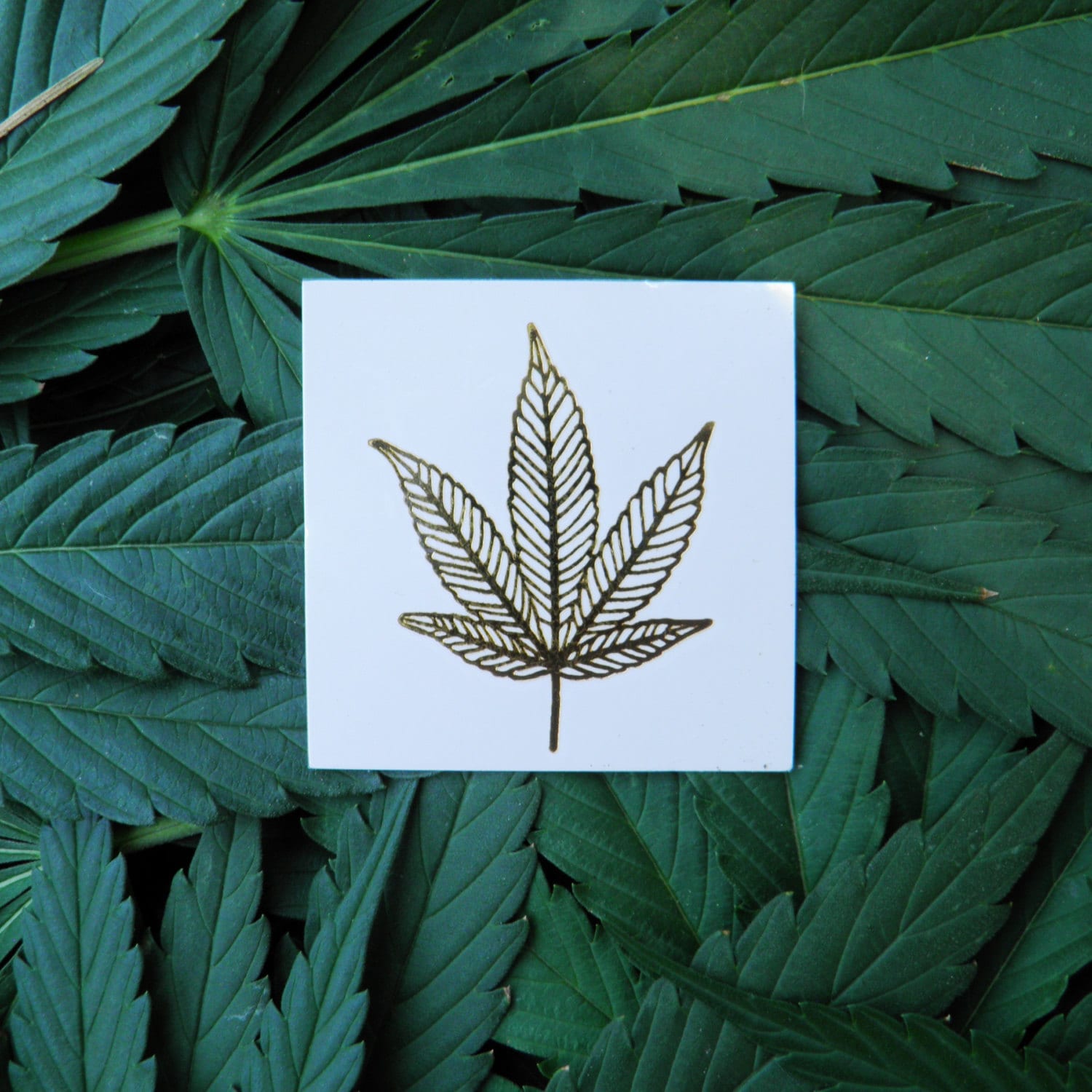 Cannatats Marijuana Leaf Temporary Tattoo Gold Veined Indica - Etsy
