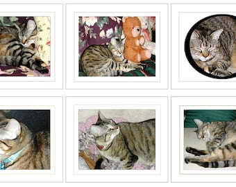 Tabby/Calio Cat Notecard with Border (Your Choice of Design) by Jeanne A Martin (Everything Dear)