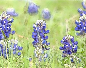 Bluebonnets Fine Art Print (Your Choice of Size) by Jeanne A Martin (Everything Dear)