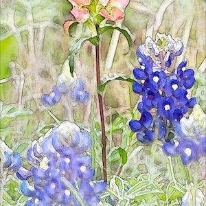 May include: A close-up of a pink flower with blue flowers in the background. The flowers are in a field of green grass.