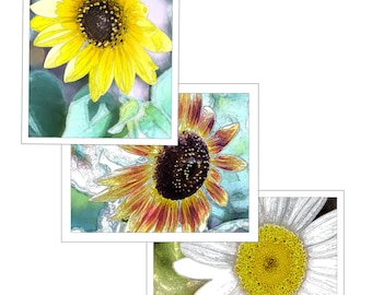 Sunflower Notecards - Abstract Series (Your Choice of Design) by Jeanne A Martin (Everything Dear)