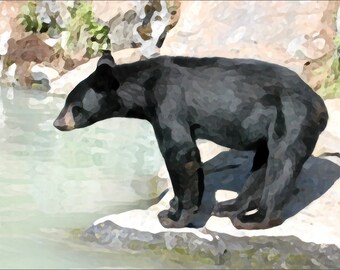 Black Bear from Alaska Fine Art Print (Your Choice of Size) by Jeanne A Martin (Everything Dear)