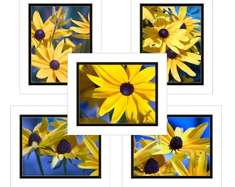 Sunflower Notecards - Black Border (Your Choice of Design) by Jeanne A Martin (Everything Dear)