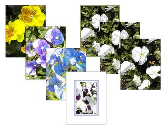 Pansies Fine Art Print (Your Choice of Size and Design) by Jeanne A Martin (Everything Dear)