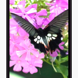 Butterfly Butterfly In Midst of Flowers Fine Art Print Your Choice of Size or Design by Jeanne A Martin Everything Dear image 2