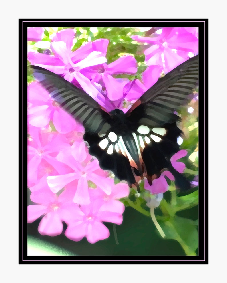 Butterfly Butterfly In Midst of Flowers Fine Art Print Your Choice of Size or Design by Jeanne A Martin Everything Dear image 2