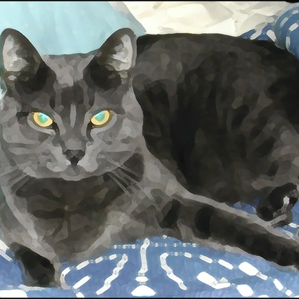 Smokey on a Blue Blanket - Russian Blue Cat Fine Art Print (Your Choice of Size or Design) by Jeanne A Martin (Everything Dear)