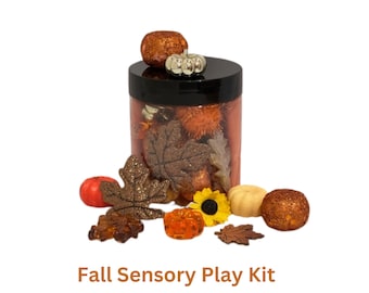 Fall Sensory Play Kit