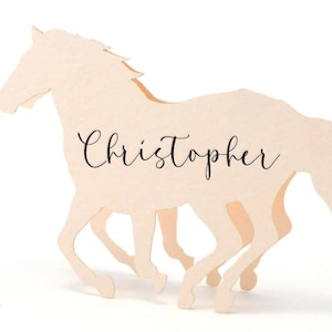 Laatste rodeo paard plaatskaarten Kentucky Derby Zoo trouwbedankjes babyshower aangepaste bruiloften rustieke western country bruiloft Kentucky Derby