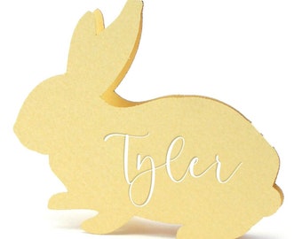 May include: A yellow bunny-shaped wooden cutout with the name "Tyler" cut out in a cursive font. The bunny is standing on its hind legs and has long ears. The cutout is a light yellow color.