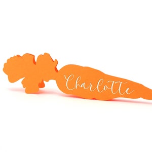 May include: Orange carrot-shaped place card with the name "Charlotte" in white script. The carrot has a detailed green top and is set against a white background. Ideal for Easter or spring events.