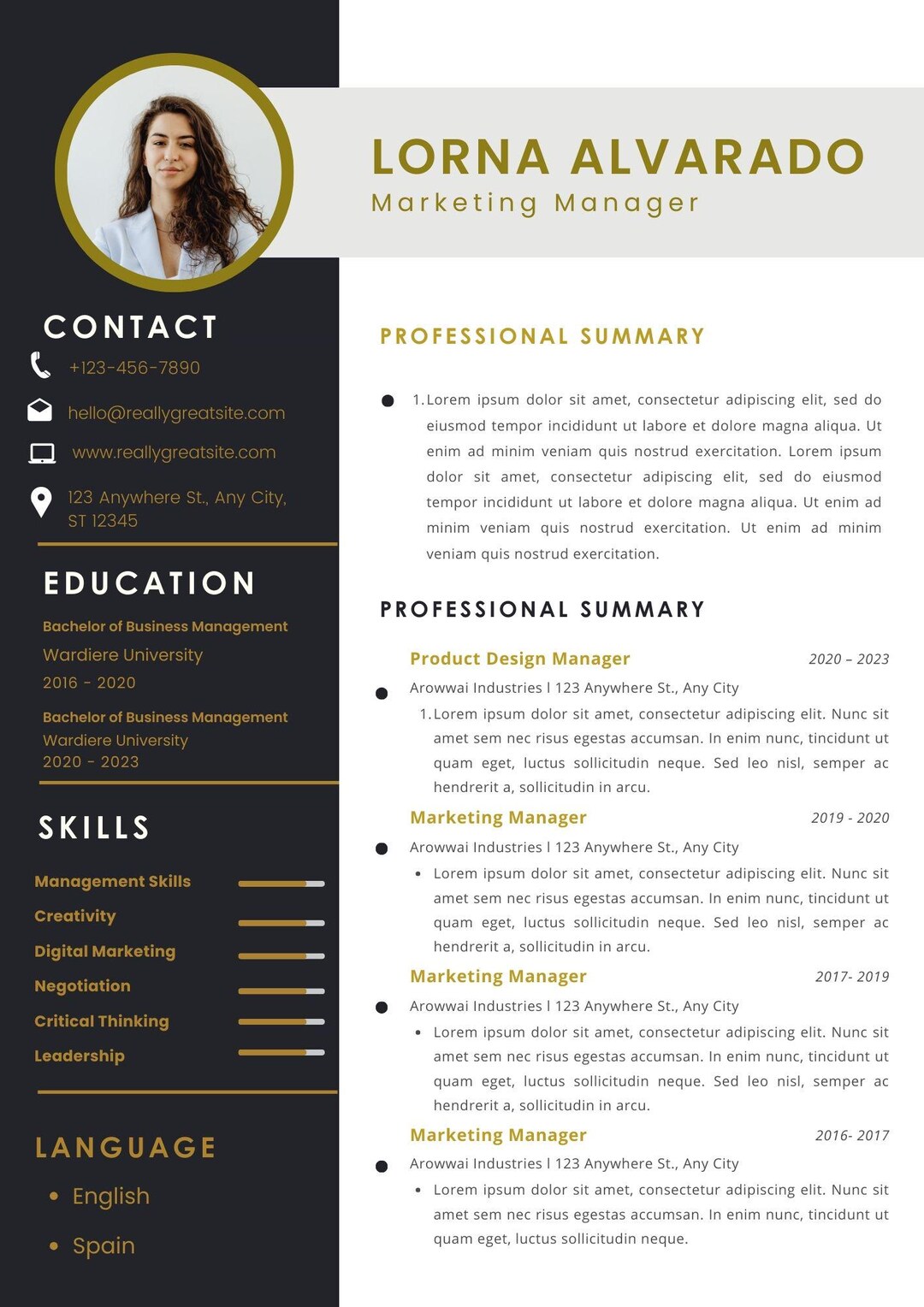 Editable Modern Resume Template, Professional CV (PPTX Format) - Etsy