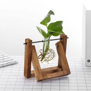 Peut inclure: Un petit vase en verre avec une base bulbeuse et un col étroit, suspendu dans un cadre en bois. Le vase contient une plante verte avec de grandes feuilles. Le cadre en bois est en bois brun foncé et a un design géométrique simple.
