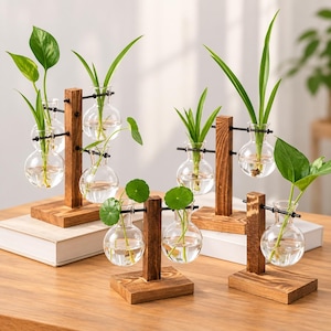 DIY-Pflanzenvermehrungsstation: Rustikales Set aus Holz- und Glasvase