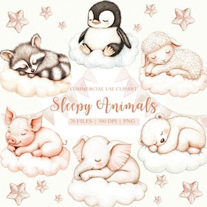 Sleepy Animals Clipart, Watercolor Animal PNG, Baby Animal PNG, Sleepy Baby Animal, Woodland Animals PNG, Safari Animals, Safari Nursery