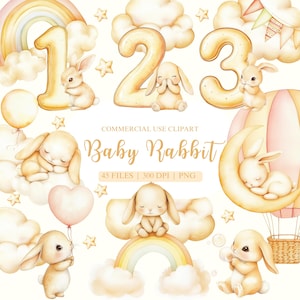 Aquarelle lapins Clipart, Clipart lapin, PNG, clipart bébé jalon mensuel, Clipart anniversaire, clipart bébé jalon, chiffres PNG