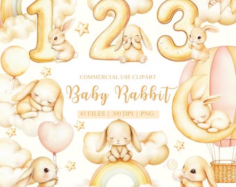 Imágenes prediseñadas de conejitos de acuarela, imágenes prediseñadas de conejito, imágenes prediseñadas de conejito PNG, imágenes prediseñadas de hitos mensuales de bebé, imágenes prediseñadas de cumpleaños, imágenes prediseñadas de hitos de bebé, números PNG