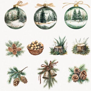 Christmas Woodland Animals Watercolor Clipart PNG, Cute Xmas Animals ...