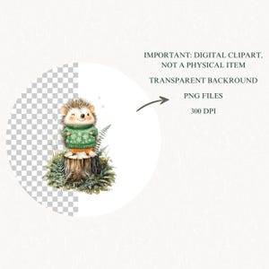 Christmas Woodland Animals Watercolor Clipart PNG, Cute Xmas Animals ...