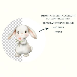 May include: A white bunny with pink ears and nose holds a pink flower. The bunny is standing on a transparent background.