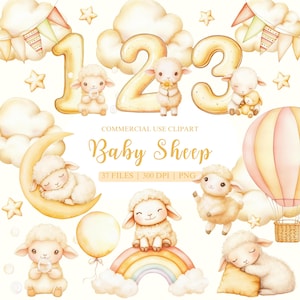Aquarelle mouton des cliparts, des cliparts bébé mensuel, des cliparts anniversaire, des cliparts bébé étape importante, des cliparts chiffres, des cliparts animaux