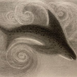 Dauphin